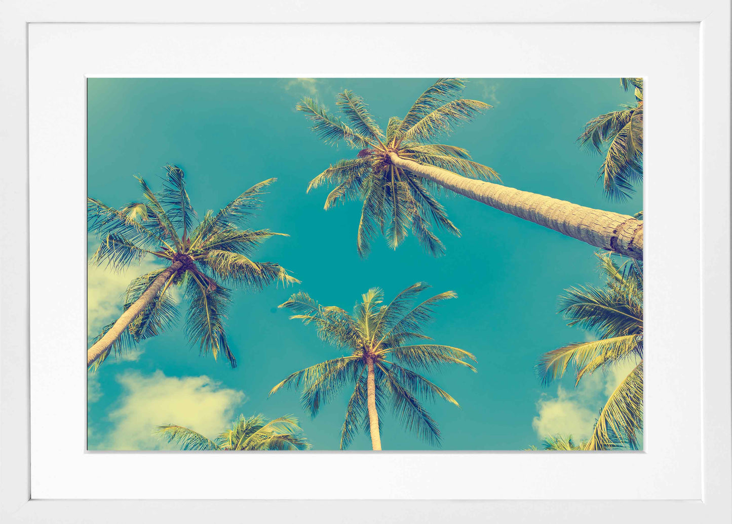 Vintage Palms